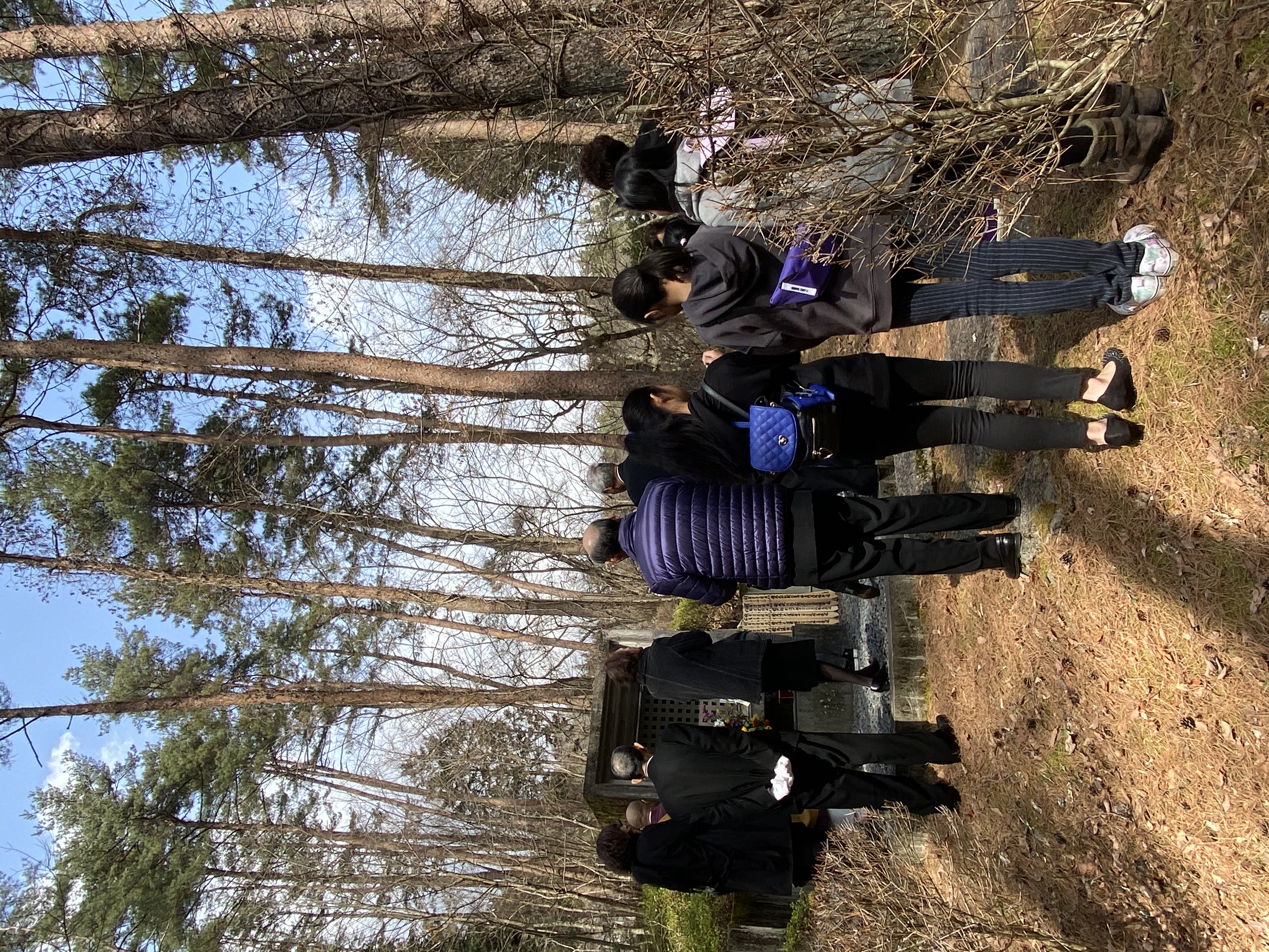 三姉妹がつないだ家族の記憶と、森に眠る新たな安らぎ